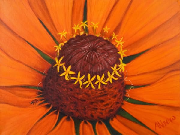 Orange Zinnia Dancing With Joy Art | ANnew Art