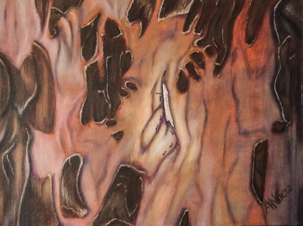 Symbiosis Wandoo Bark Art | ANnew Art