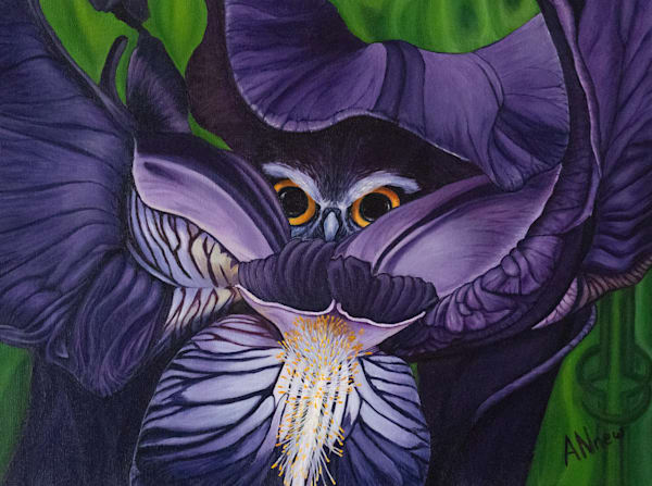 Wisdom Art | ANnew Art