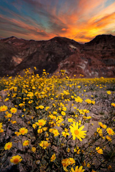 Deserts & Canyons