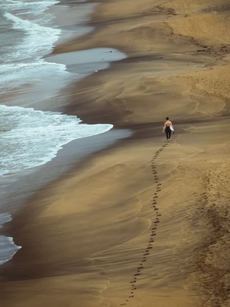 Between Sand And Surf Photography Art | Sunsets and Flowers Photography
