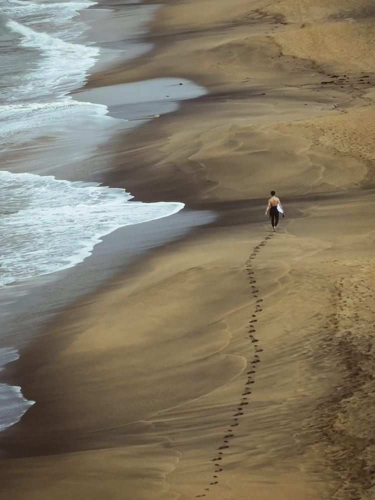 Between Sand And Surf Photography Art | Sunsets and Flowers Photography