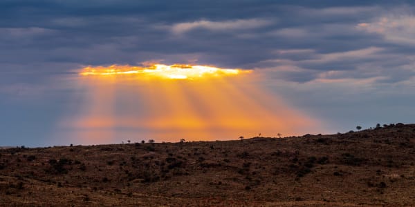 The Aperture Photography Art | Sunsets and Flowers Photography