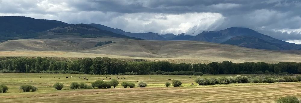 
        <div class='title'>
          where cowboys roam
        </div>
       