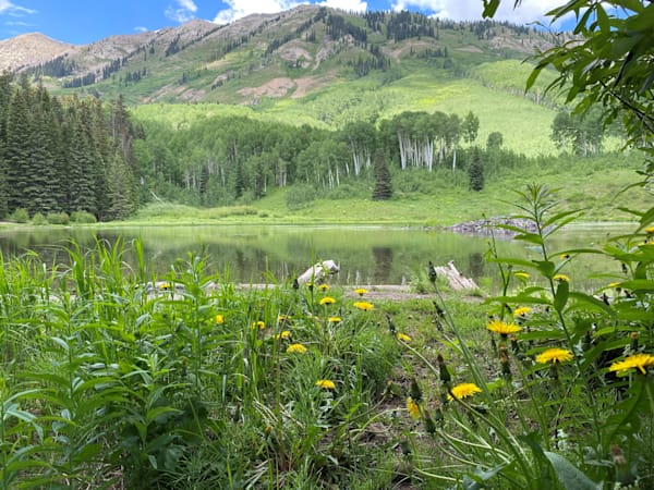 Beaver Ponds