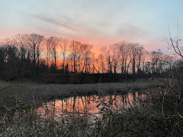 Along the Eastern Shore