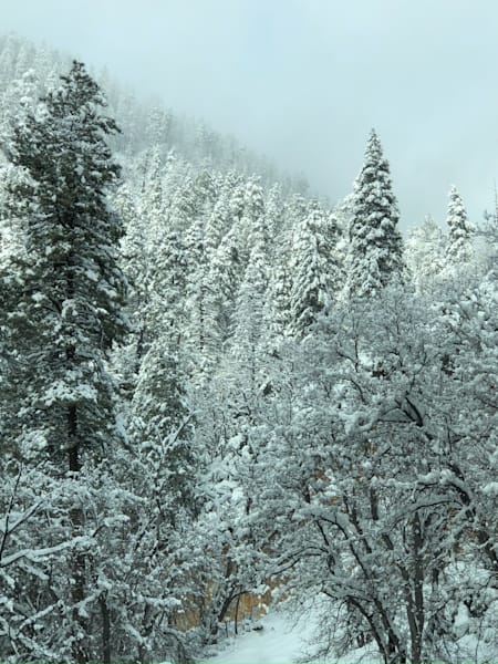 The Winter Canyon
