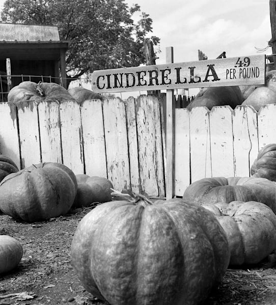 Cinderella