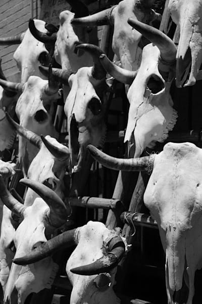 High Desert Herd