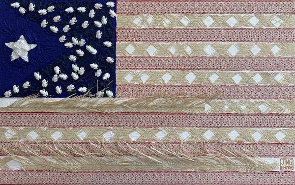Coquí and Pava Puerto Rican Themed American Flag