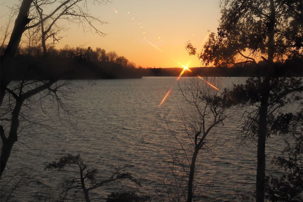 Gull Lake Sunset with Swans