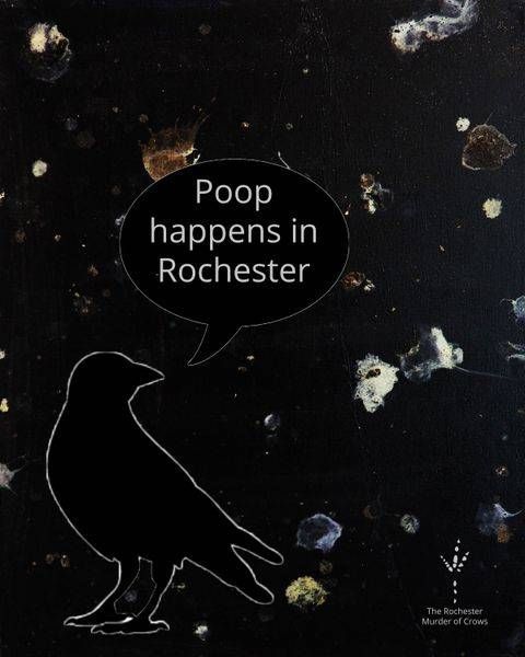Poop Happens