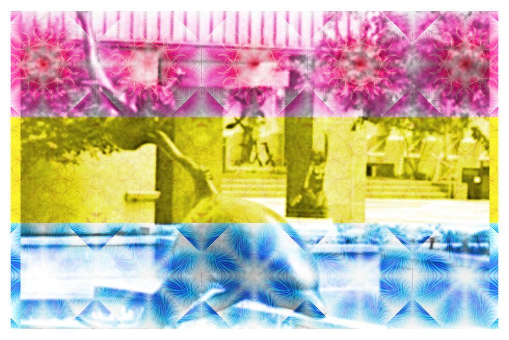 Dolphin Boy Pan Flag Colors12x8 Photography Art | Fox and Swan Arts