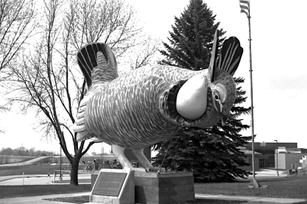 Rothsay Prairie Chicken