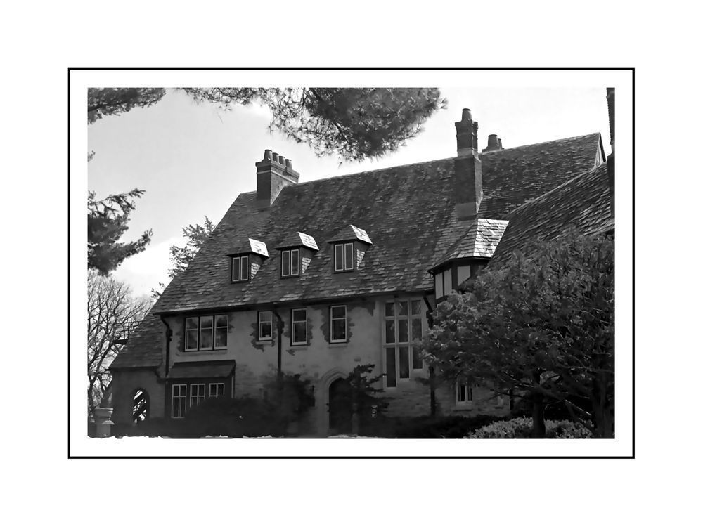 Plummer24a12x9border Photography Art | Fox and Swan Arts