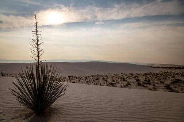 0 Y4 A9231 Photography Art | Captured Adventure Photography