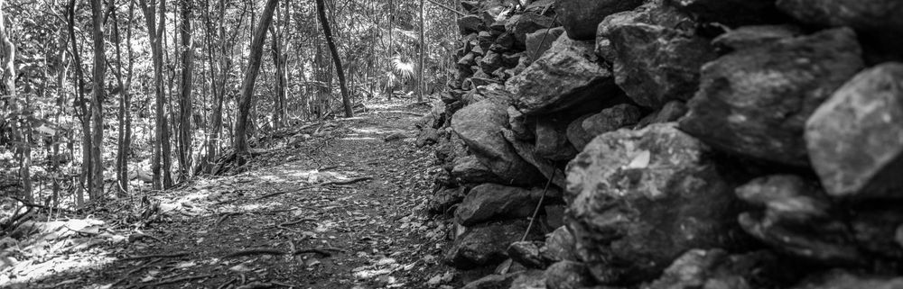 0 Y4 A9706 Photography Art | Captured Adventure Photography