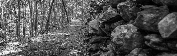 0 Y4 A9706 Photography Art | Captured Adventure Photography