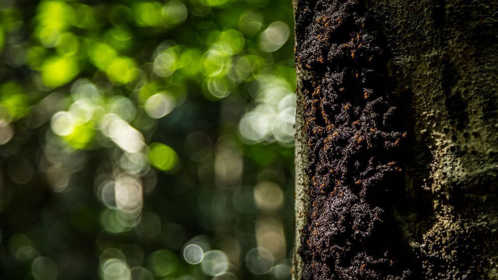 0 Y4 A9591 Photography Art | Captured Adventure Photography