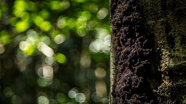 0 Y4 A9591 Photography Art | Captured Adventure Photography