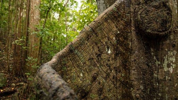 0 Y4 A9581 Photography Art | Captured Adventure Photography