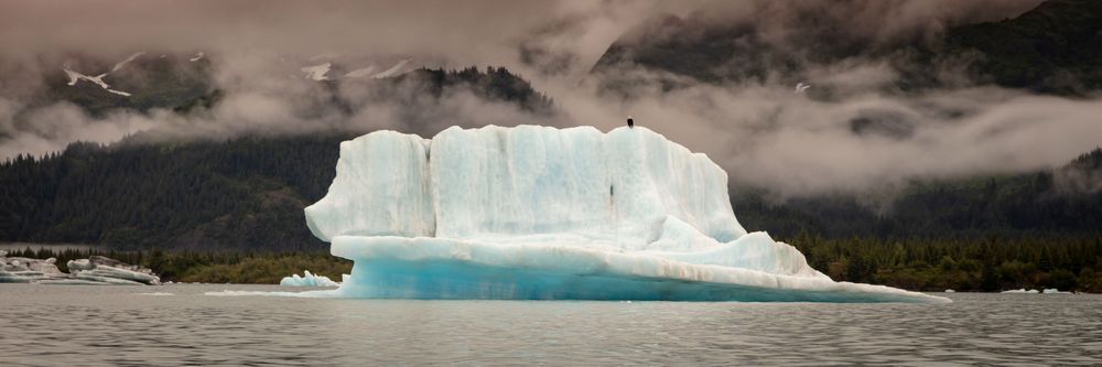 0 Y4 A9900 Photography Art | Captured Adventure Photography