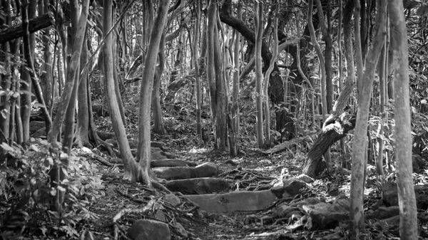 0 Y4 A9982 Photography Art | Captured Adventure Photography
