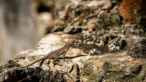 0 Y4 A9806 Photography Art | Captured Adventure Photography