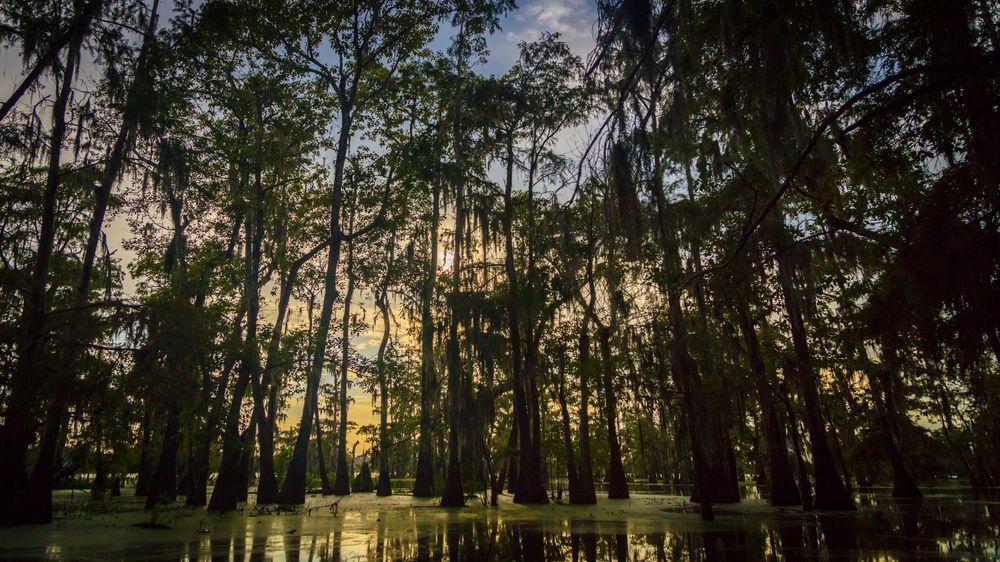 0 Y4 A8383 1 Photography Art | Captured Adventure Photography