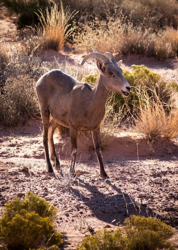 0 Y4 A8911 Photography Art | Captured Adventure Photography