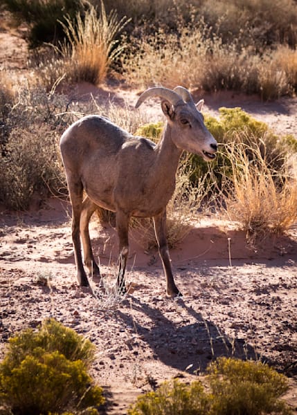 0 Y4 A8911 Photography Art | Captured Adventure Photography