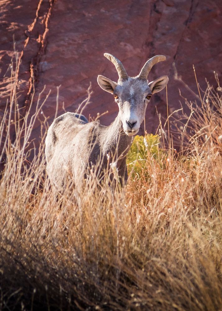 0 Y4 A8906 Photography Art | Captured Adventure Photography
