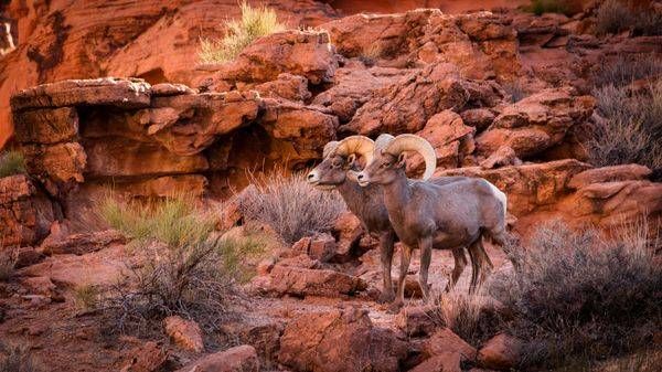 Valley of Fire, Nevada