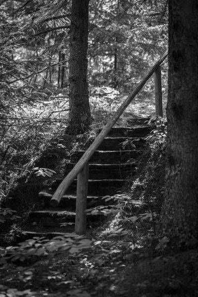 0 Y4 A5380 Photography Art | Captured Adventure Photography