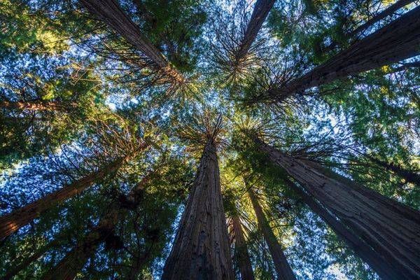 0 Y4 A5052 Photography Art | Captured Adventure Photography