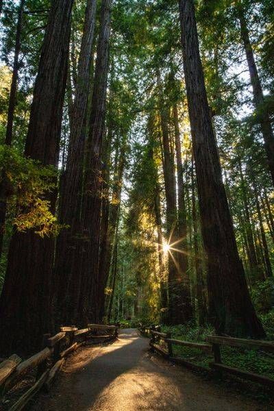 0 Y4 A5083 Photography Art | Captured Adventure Photography