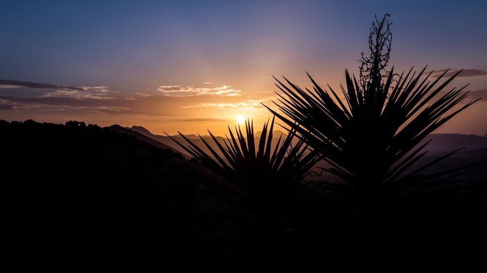 0 Y4 A5711 Photography Art | Captured Adventure Photography