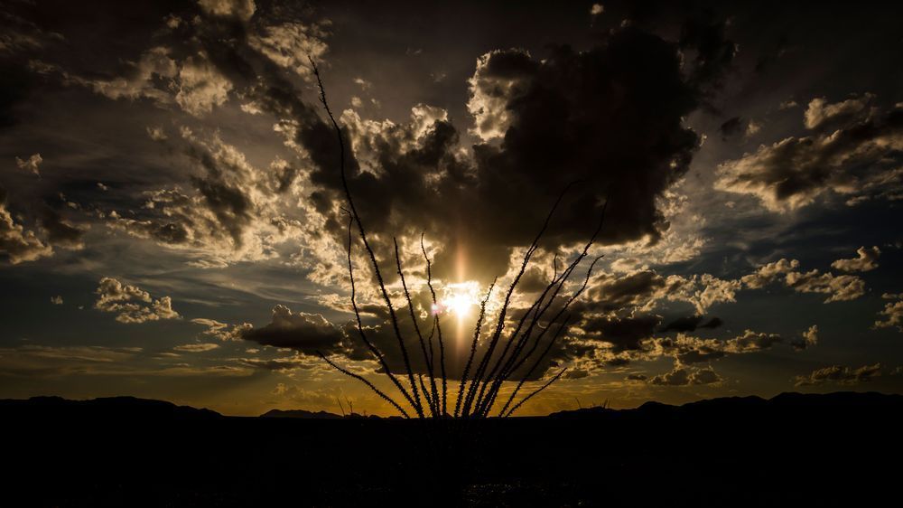 0 Y4 A6384 Photography Art | Captured Adventure Photography