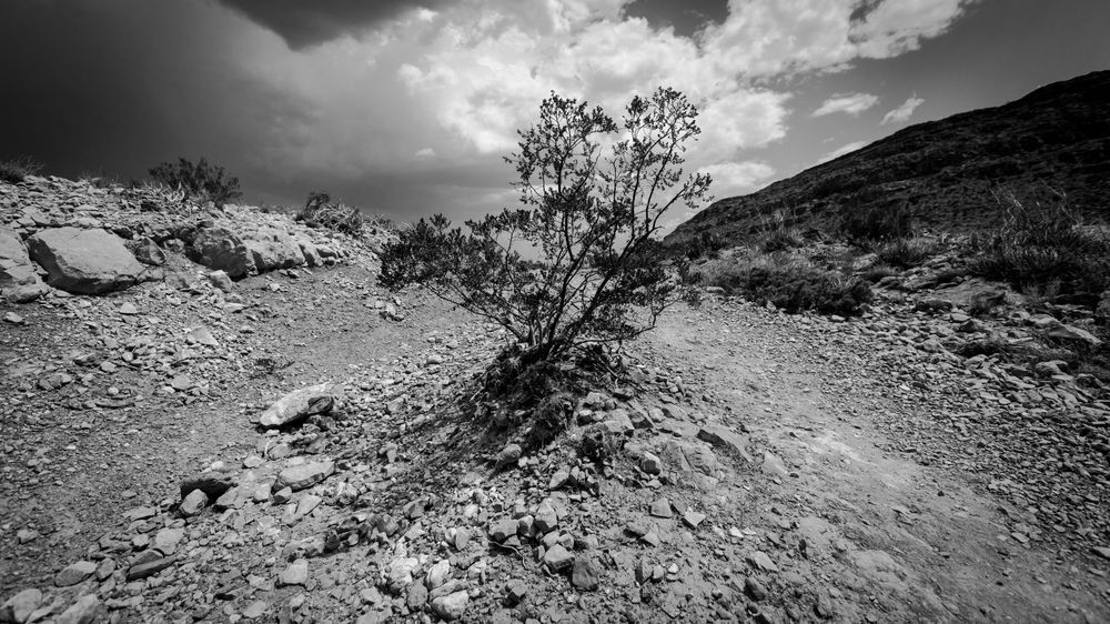 0 Y4 A6021 Photography Art | Captured Adventure Photography