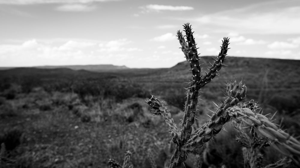 0 Y4 A6652 Photography Art | Captured Adventure Photography