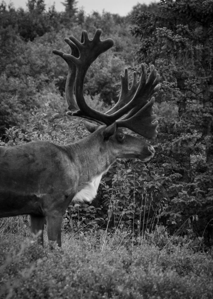 0 Y4 A6428 Photography Art | Captured Adventure Photography