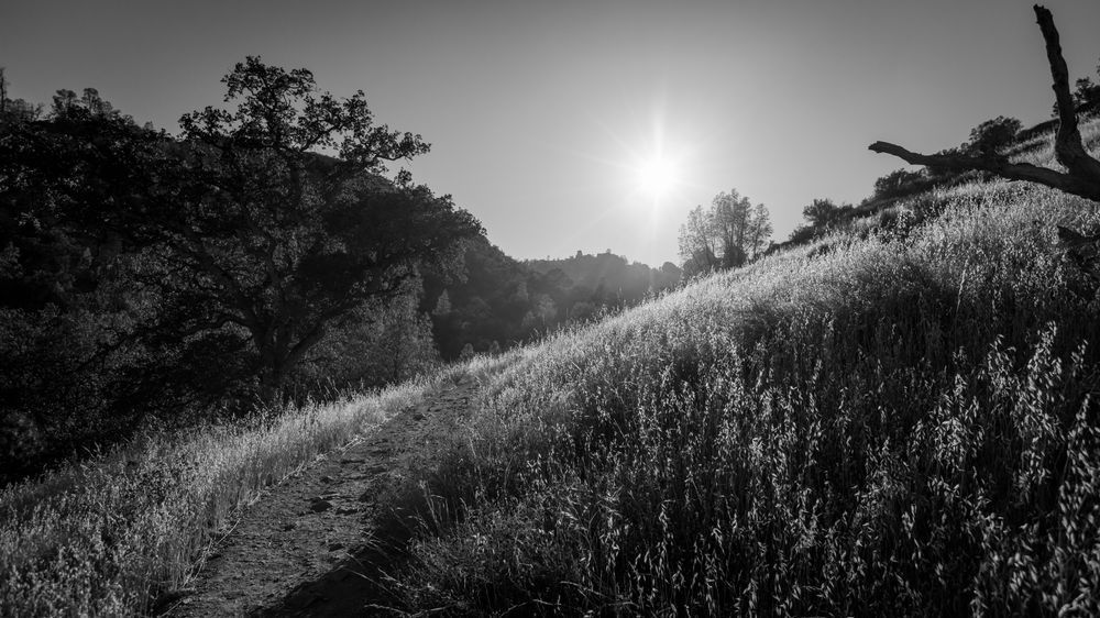 0 Y4 A7411 Photography Art | Captured Adventure Photography