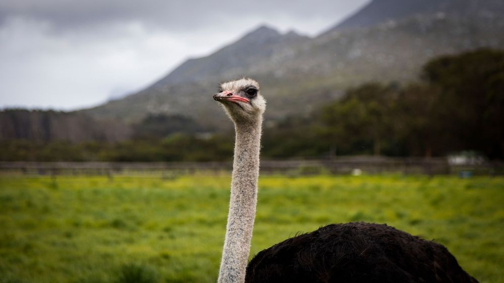 0 Y4 A7926 Photography Art | Captured Adventure Photography