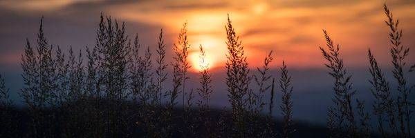 0 Y4 A4791 Photography Art | Captured Adventure Photography