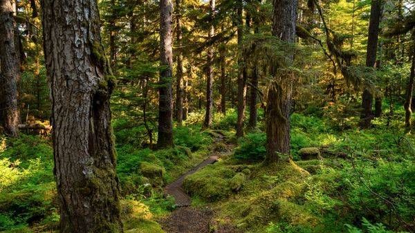 0 Y4 A4574 Photography Art | Captured Adventure Photography