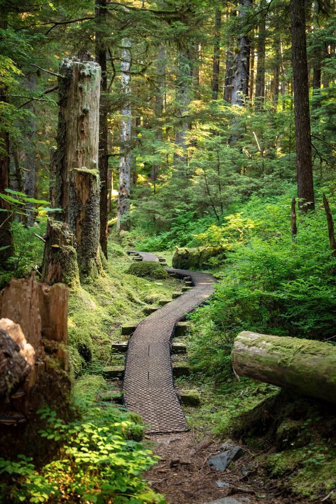 0 Y4 A4586 Photography Art | Captured Adventure Photography