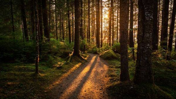 0 Y4 A4490 1 Photography Art | Captured Adventure Photography