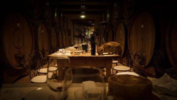 0 Y4 A1802 Photography Art | Captured Adventure Photography