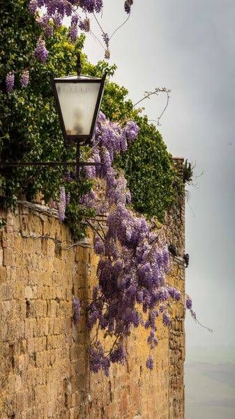 0 Y4 A1858 Photography Art | Captured Adventure Photography