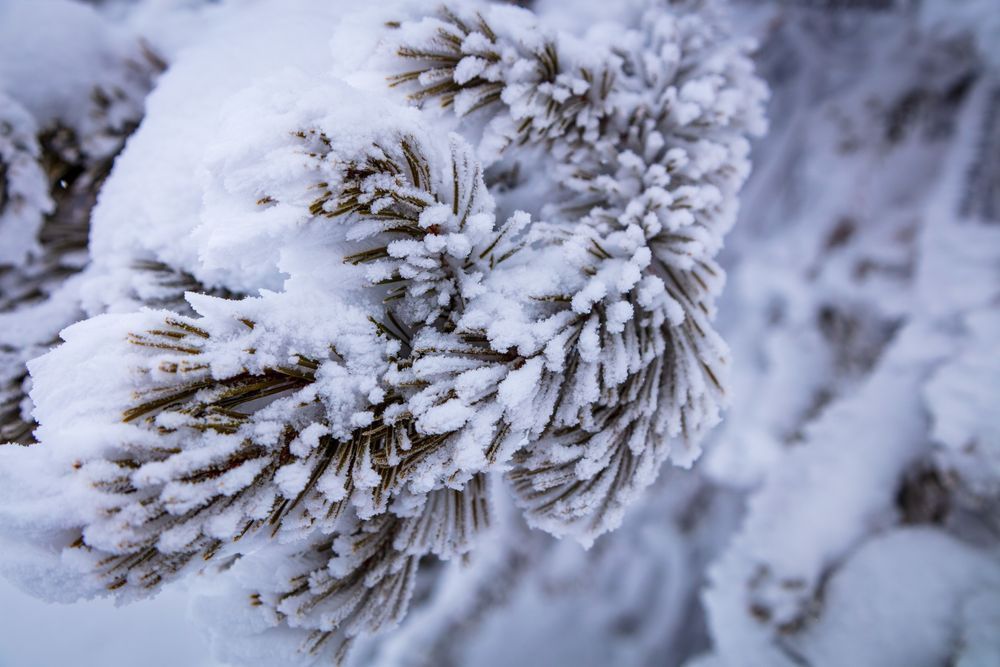 0 Y4 A2297 Photography Art | Captured Adventure Photography